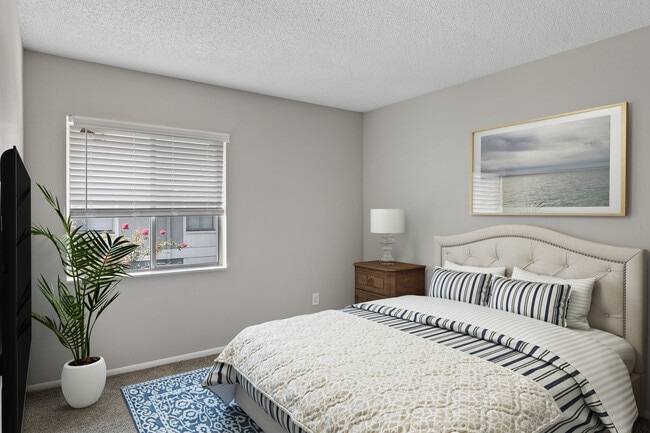 Photo - The Palms at Countryside Apartments