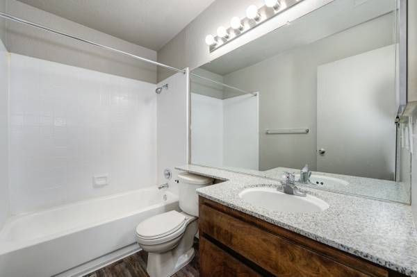 Photo - Venetian Bridges