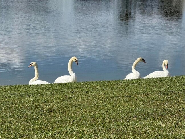 Photo - 8913 SW Chevy Cir