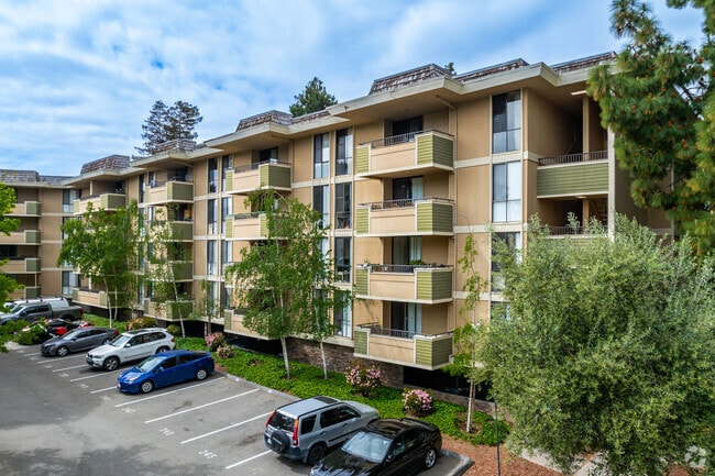 Photo - The Highlander