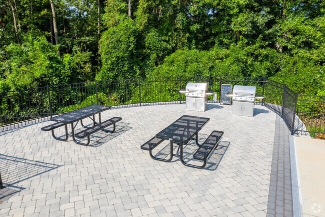 Grill Area - Palisades at Waters Edge