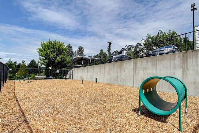 Photo - Castle Creek