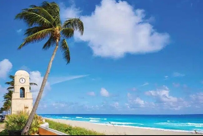 Palm Beach - City Palms