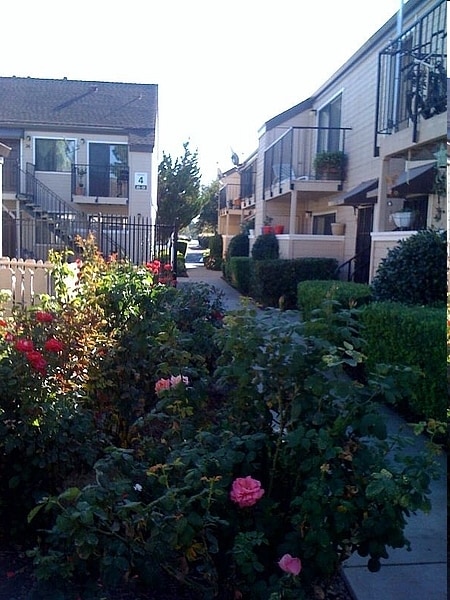 Shadetree South - Shadetree North & South