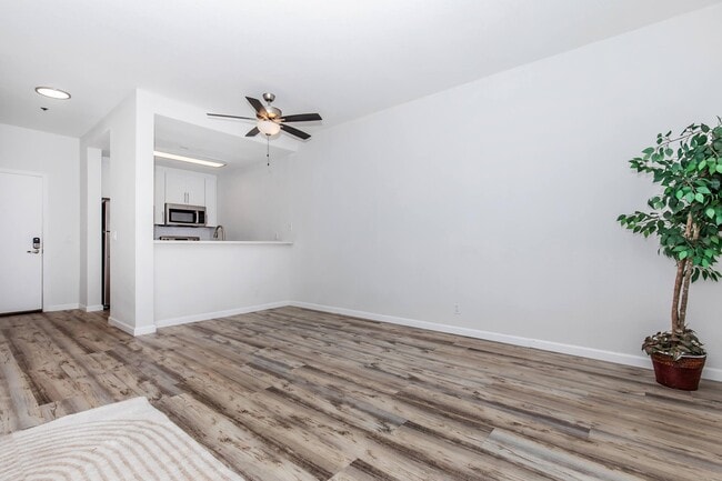 Photo - Paloma Vista