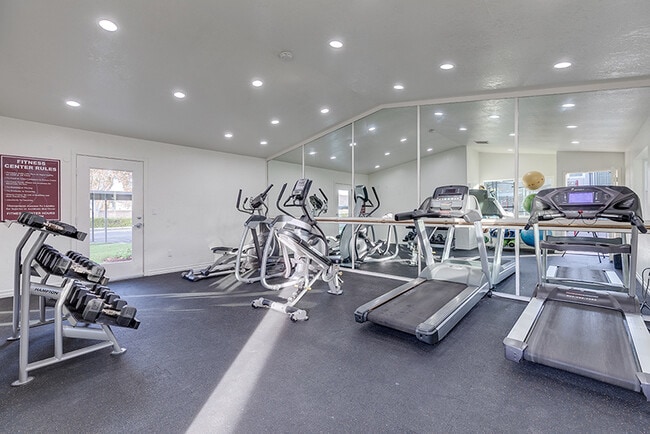 Photo - VINE BY VINTAGE