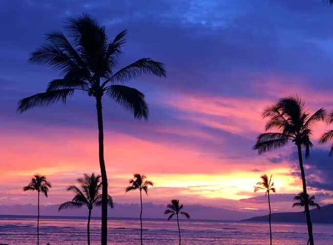 Building Photo - 938 S Kihei Rd Unit ID1370210P