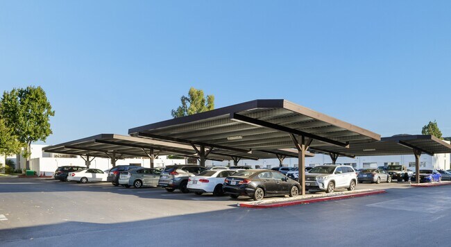 Photo - Arrive Laurie Lane