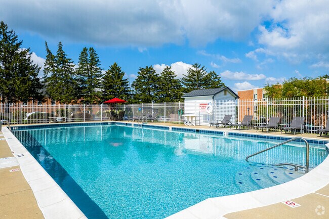 Pool - Metropolitan Doylestown