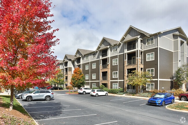 Photo - The Aventine Asheville