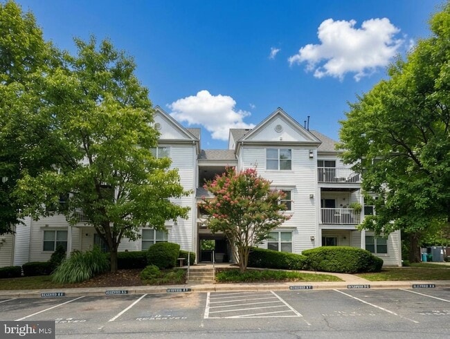Building Photo - 12907 Churchill Ridge Cir Unit 7