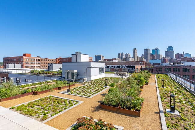 30,000 Sq Ft Rooftop Garden - Second and Delaware Apartments