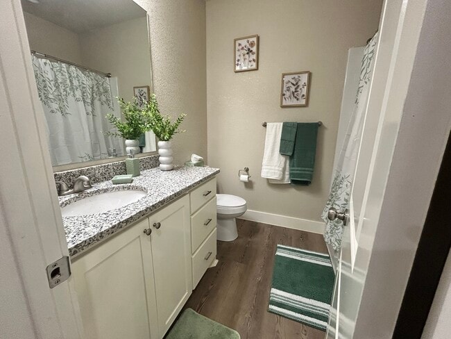 2nd bathroom - Cooper Ridge Apartment Homes