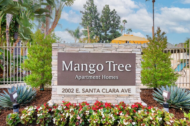 Photo - Mango Tree