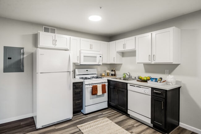 Photo - Stardust Apartments