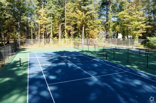 Paddle Ball Court - Hollandale Apartments