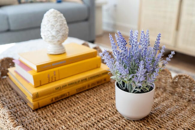 Building Photo - 113 Lucile St Unit ID1312641P