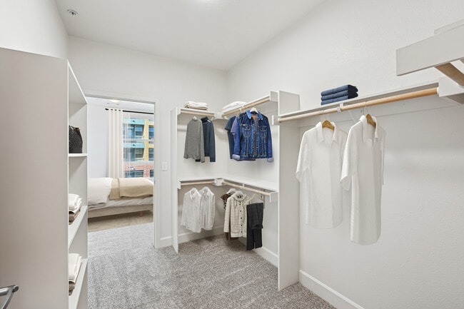 Walk-in closet - Avalon Cherry Hills