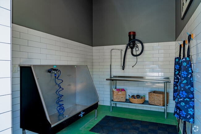 Pet Salon - 1701 North