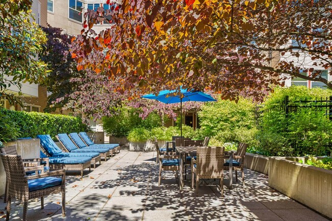 Photo - Island Square