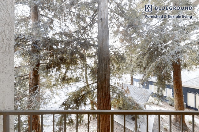 Photo - 121 Roble Rd Unit FL2-ID10694A