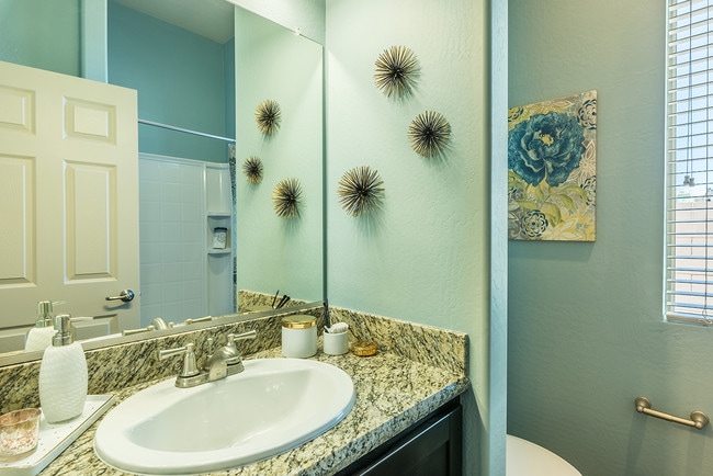 Photo - Olive Queen Creek