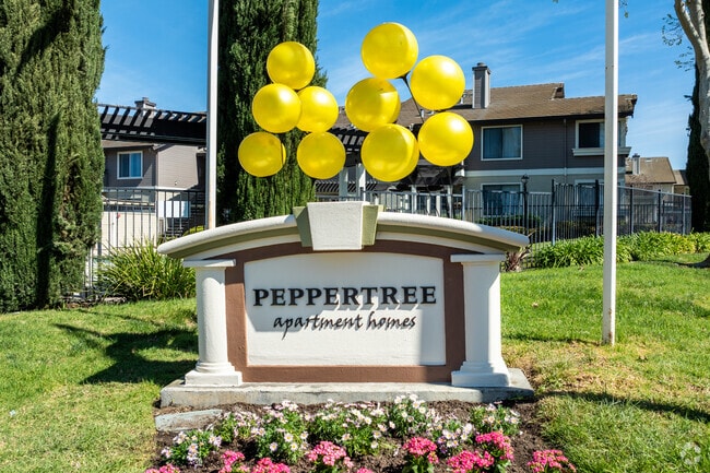 Photo - Peppertree