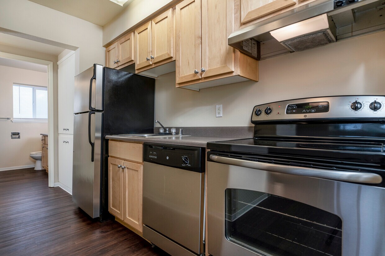 1 Bedroom View 576 Sq Ft - One Bedroom - View