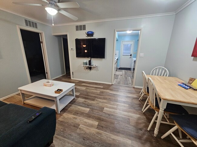 Large TV with ROKU device - Quiet Furnished 1BR Near EMU, U-M & Hospitals