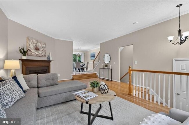 Photo - 3609 Buckeye Ct
