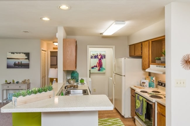 All the counter space you could want - The Oaks at Lake Jackson