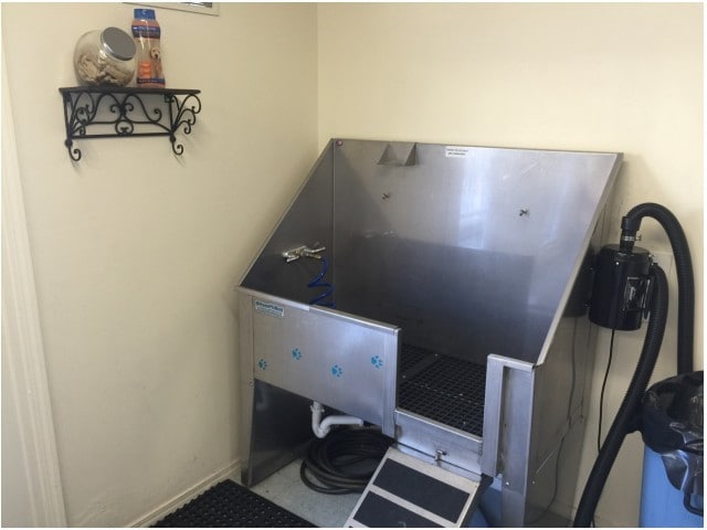 Pet Wash Station for your Furry Friends - Windmill Cove