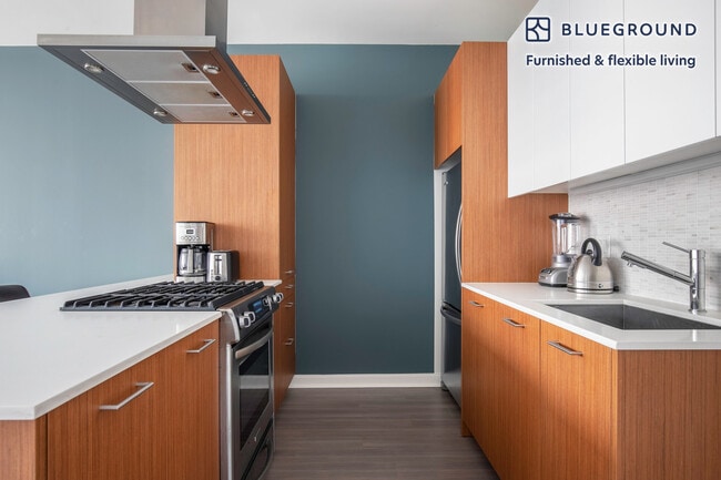 Photo - 500 N Lake Shore Dr Unit SI FL28-ID146