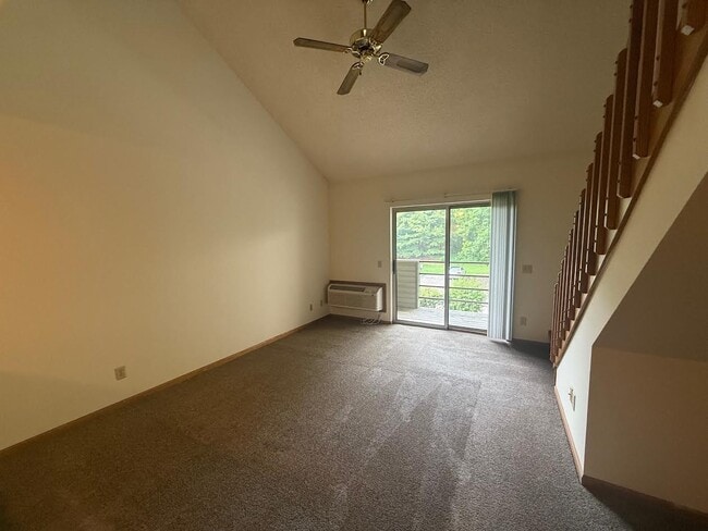 Photo - Tawhee Meadows