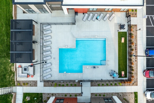 Pool - The Rosewater