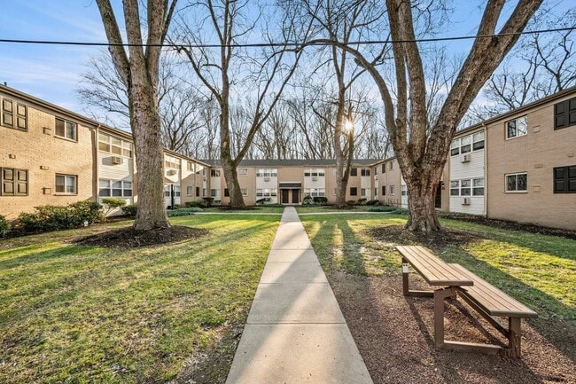 unit-3-11-1 - Hidden Forest