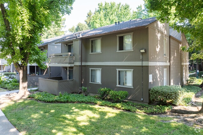 Alternate - Shasta Terrace