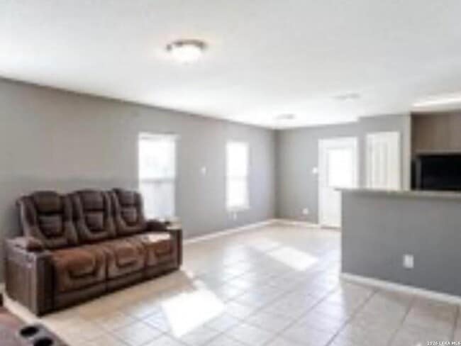 Photo - 12515 Switchgrass