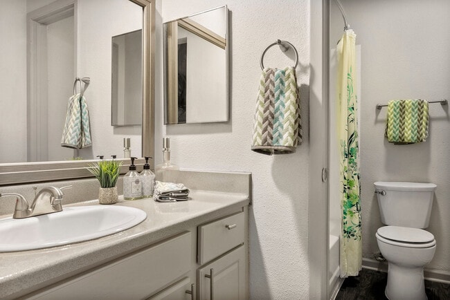 C235270_1B1BModel_Bath_13785 - The Enclave at Bear Creek