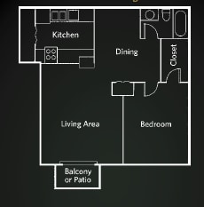 The Augusta - Augusta