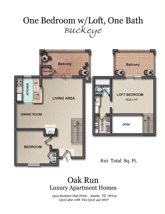 Floor Plan - Buckeye