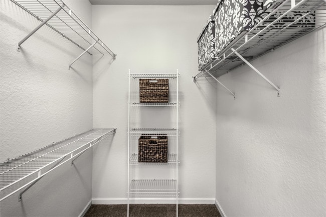 Expansive walk-in closets with shelves - Reserve At Beachline Apartments