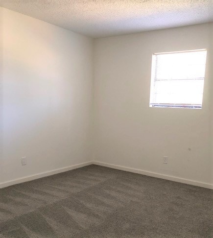 Photo - Country Lakes