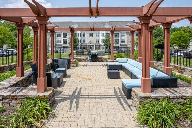 Photo - Spark Bloomfield