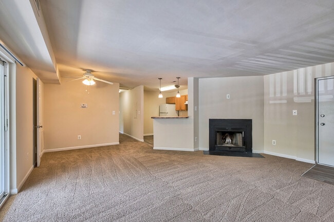 Photo - Heather Hill