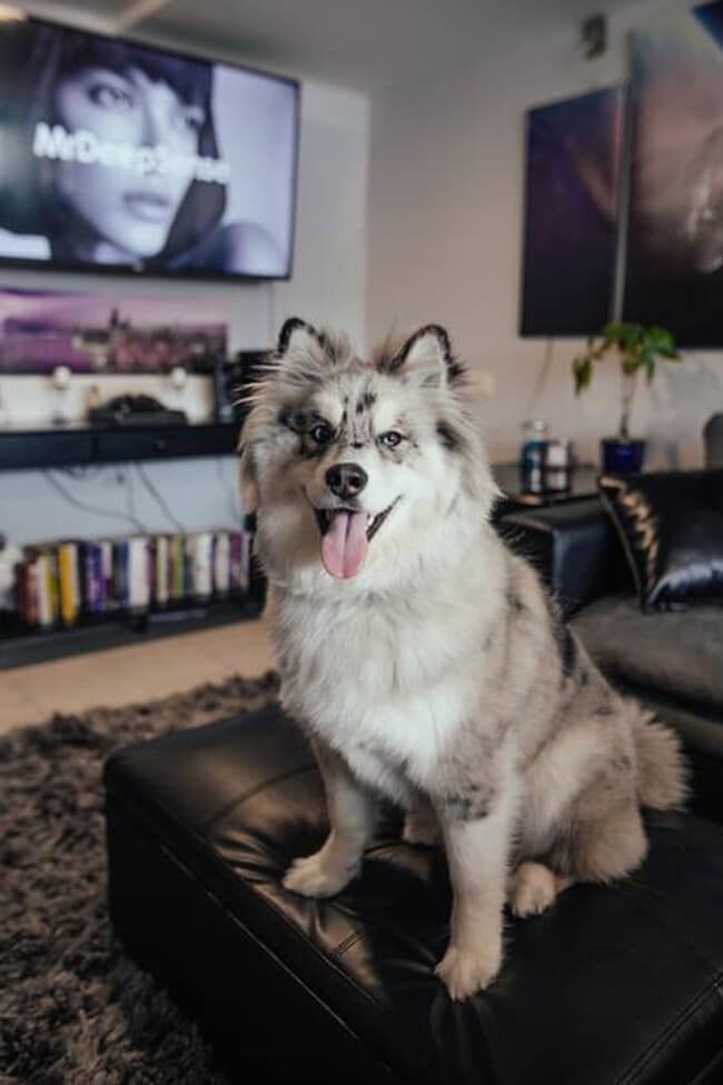 Building Photo - 6041 S Keating Ave Unit ID1244910P