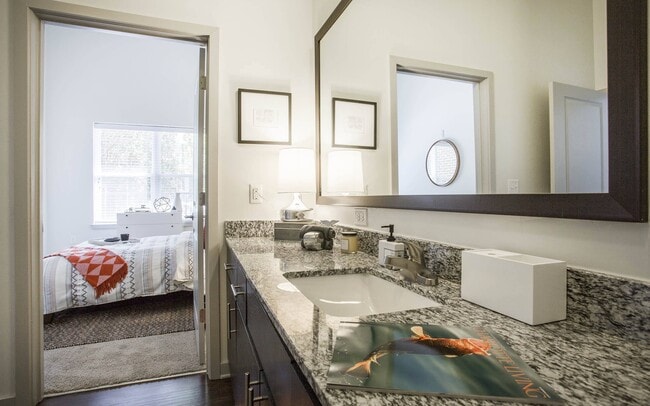 Midtown 205, Charlotte, NC, Mocha, Bathroom - Midtown 205