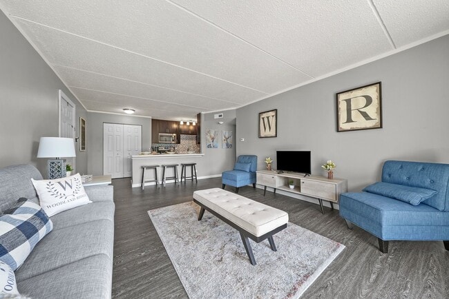 Lily Premium Renovated Living Room Model - Woodland Ridge Apartments