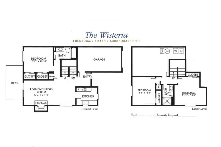 The Wisteria - The Wisteria