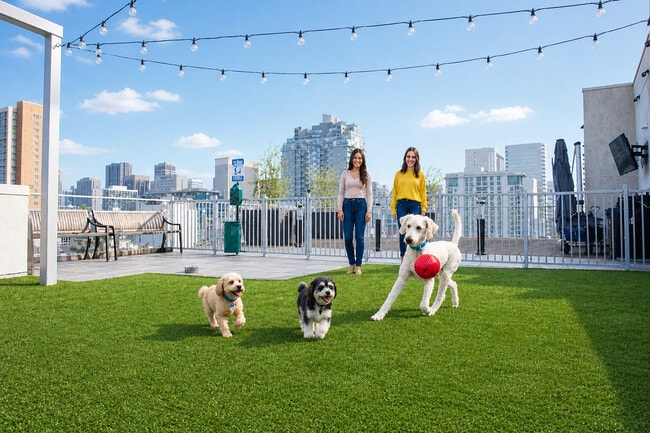 Dog park with dog bath - Vici Luxury Apartments